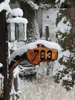 Sign in Winter