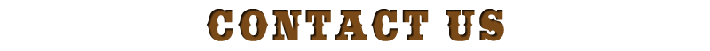 contact us