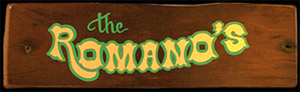 Custom Hand-Painted Family Name Hand-Painted Wooden Sign